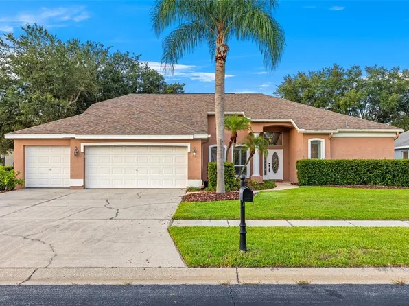 1525 Crooked Stick Dr, Valrico, FL 33596