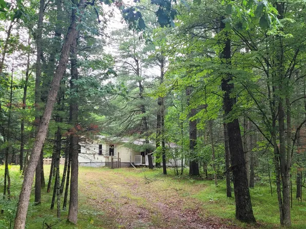 2106 W 81st St, Baldwin, MI 49304