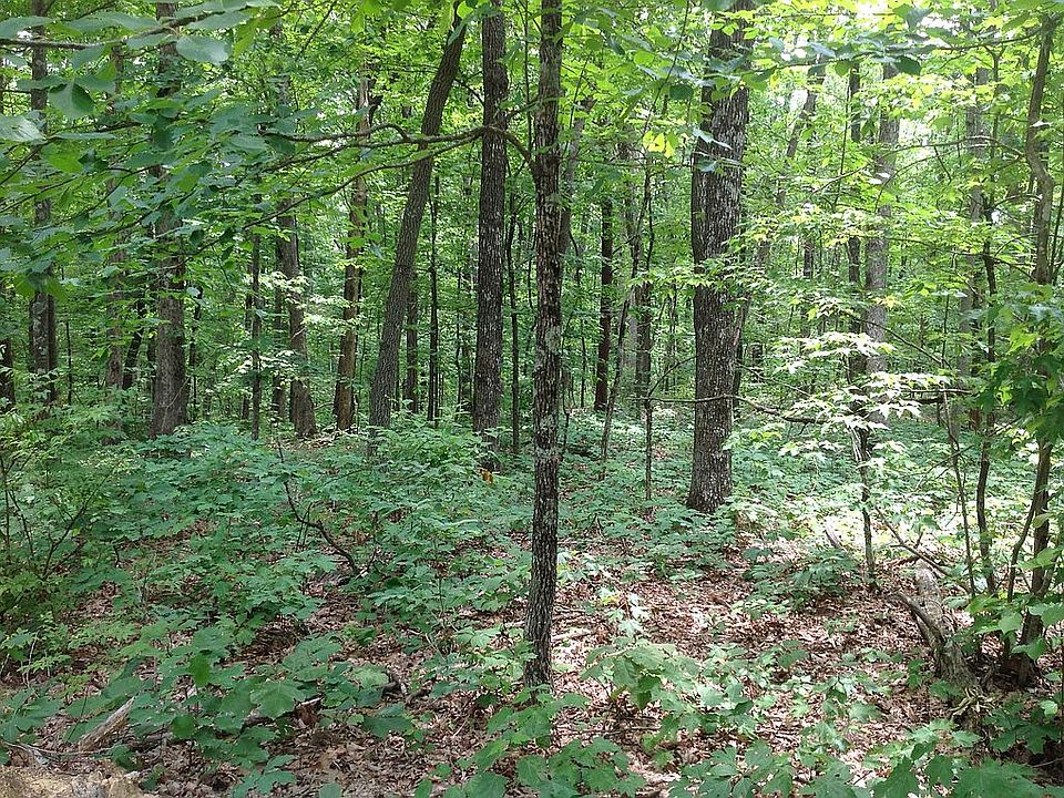 1st image of 200 Tanglewood Dr