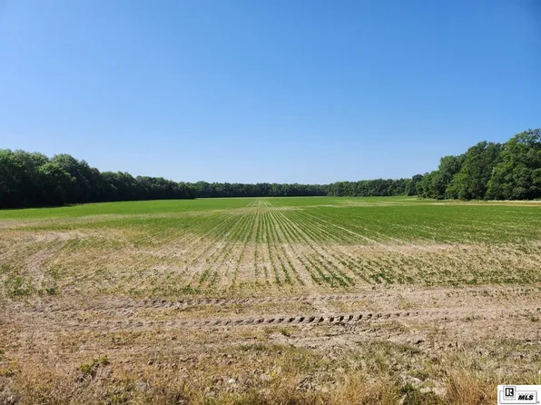 0 Highway 856, Mangham, LA 71259