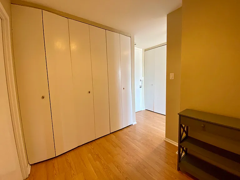 111 E Chestnut St #26D — Photo 6
