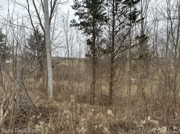 12124 Hill Rd, Goodrich, MI 48438