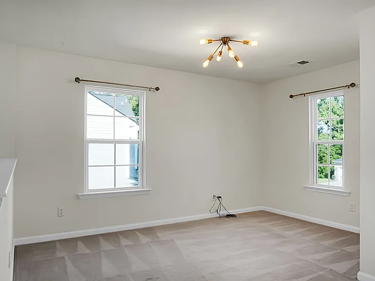 215 Catawba Branch Way — Photo 25