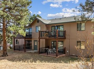 1155 S Saint Vrain Ave APT 1-3, Estes Park, CO 80517