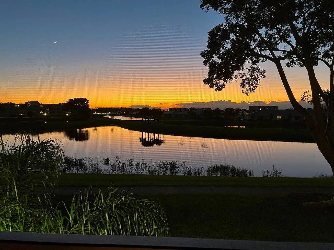 2 bed, 2.0 bath, 1060 sqft, $1,800 — Photo 3