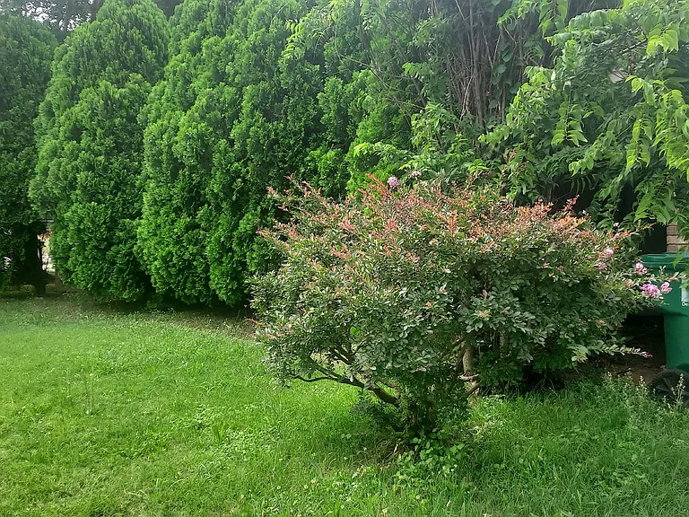 300 W Windsor Dr — Photo 17