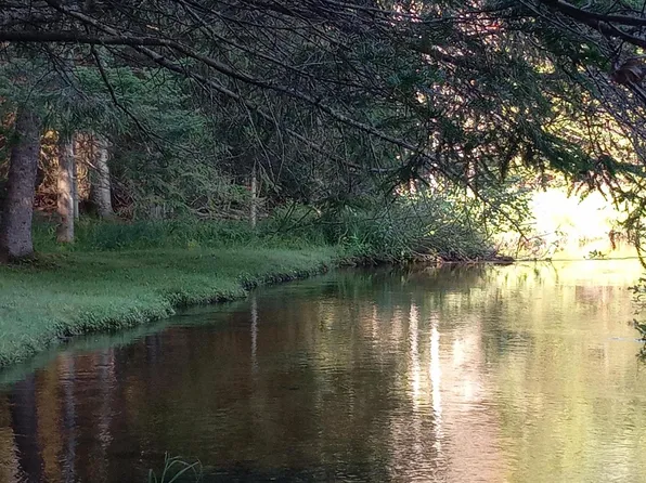 3466 Short Ln, Grayling, MI 49738