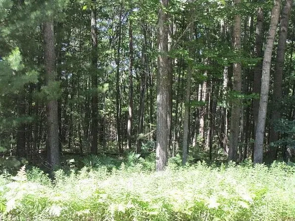 6421 Link Blvd, Indian River, MI 49749