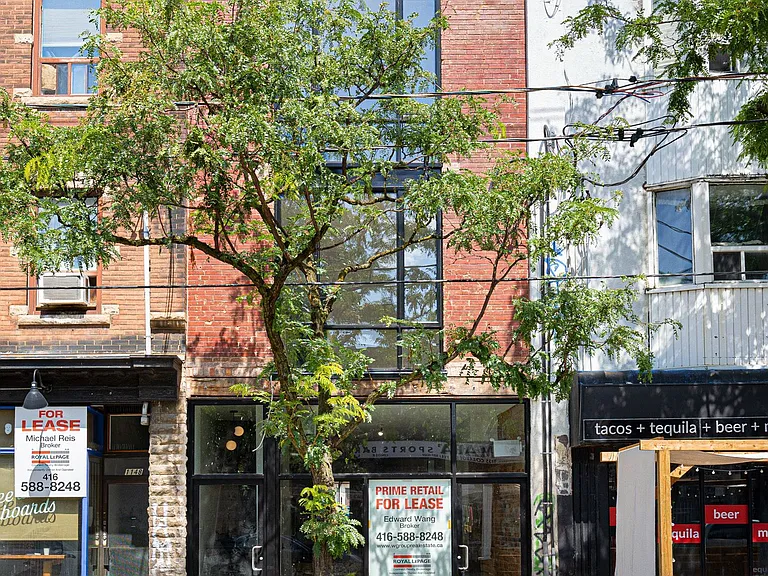 1146 College St #3 — Photo 2