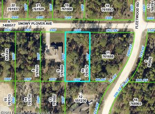 13058 E Snowy Plover Ave, Brooksville, FL 34614