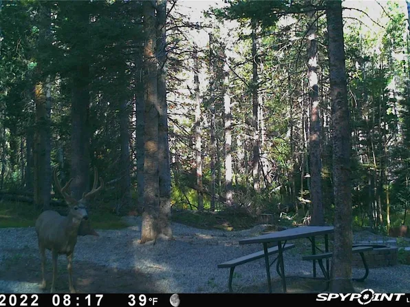 3388 Elicker Drive, Fort Garland, CO 81133