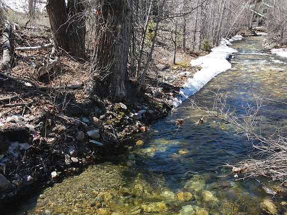 4th image of 237 Timberline Rd