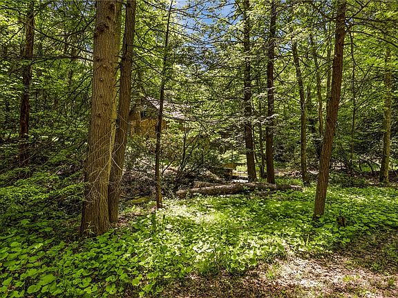 3rd image of 605 Laurel Falls Rd