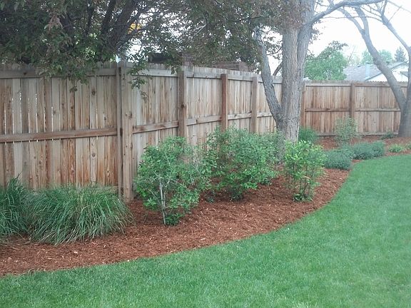 back yard