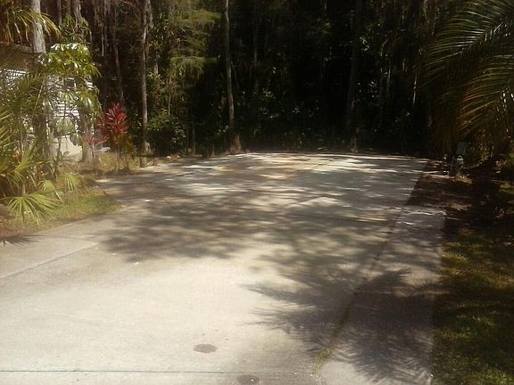 Spoonbill 10. Lots of shade.