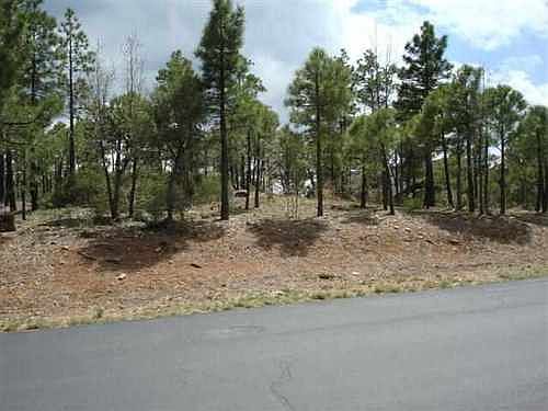 2nd image of 1161 E Pine Oaks Dr