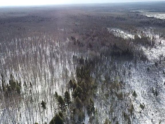 4th image of On Double Bend Rd