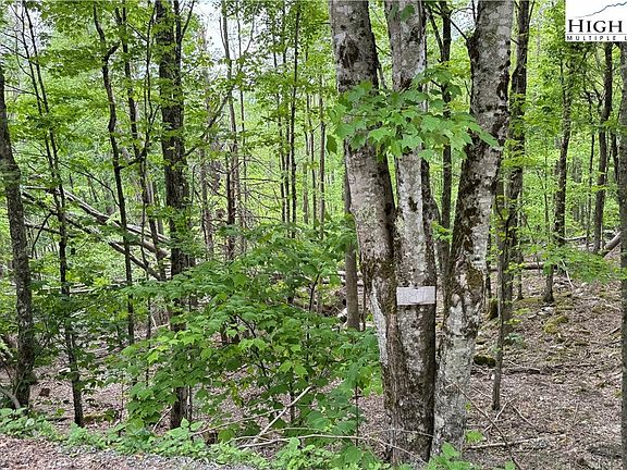 3rd image of 206 Wild Daisy Lane