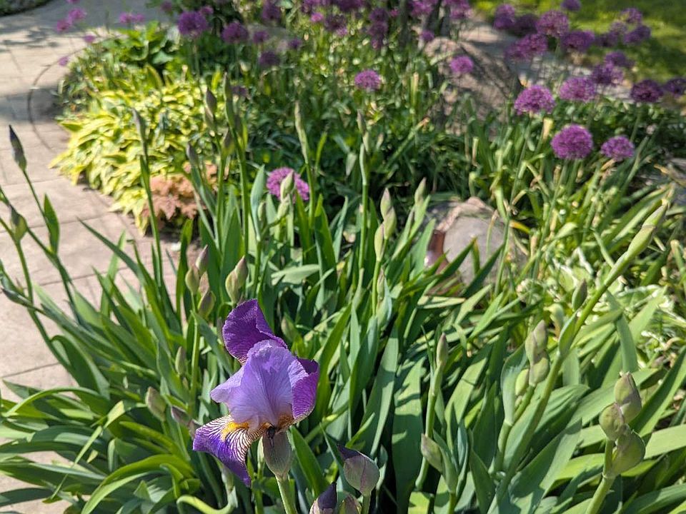 1st image of (Undisclosed Address)