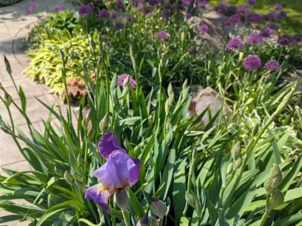 (undisclosed Address), Innisfil, ON L9S 4B3