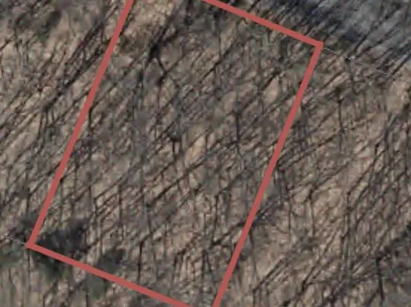 LOT 31 Palmer Ln, Oakland, MD 21550