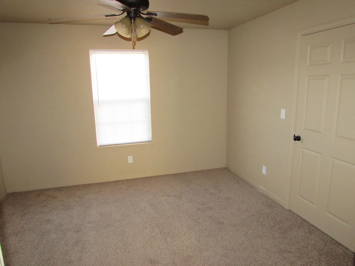 7767-MF4-E4 — Photo 3