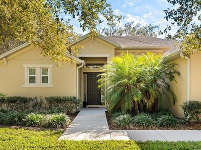 2709 Tree Meadow Loop, Apopka, FL, 32712