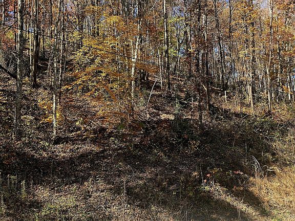 5th image of Emerald Springs Loop