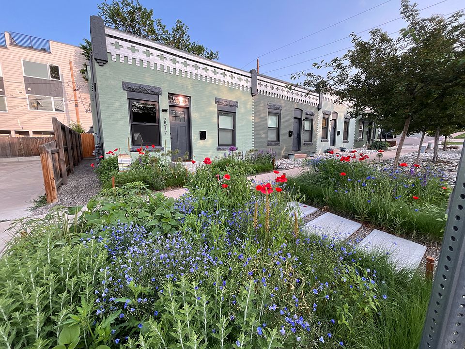 Front Yard (June 2025)