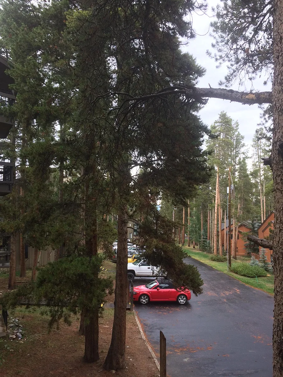 Building Photo - 1127 Ski Hill Rd #F-96