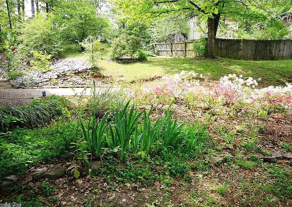 Driveway View