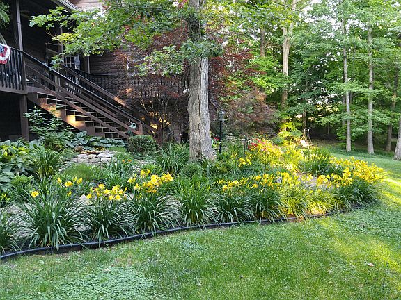 Flowers along front walk
