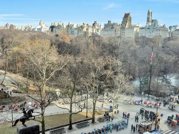 110 Central Park S APT 8B, New York, NY 10019