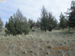 013-203 002 S Bufflow Head Rd, Alturas, CA 96101