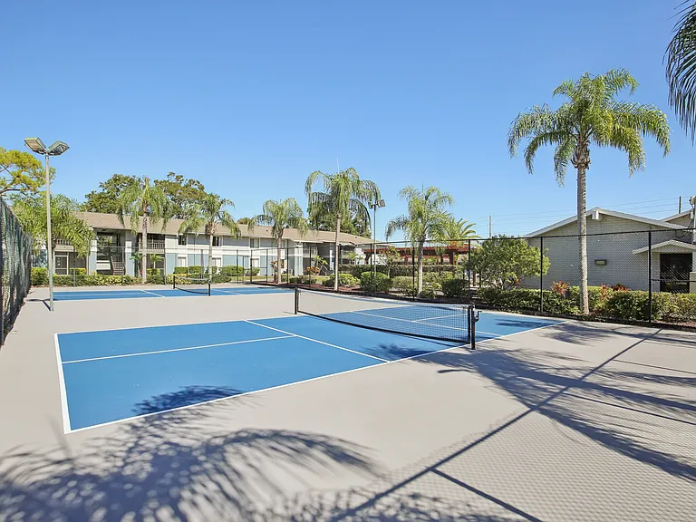 The Palms at Countryside Apartments — Photo 21
