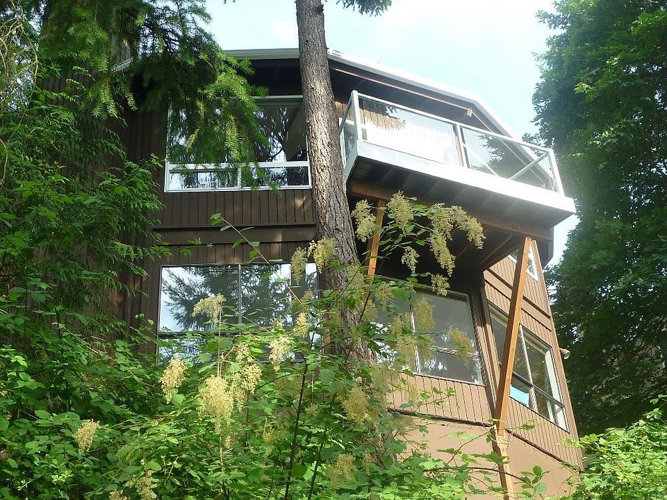 Backyard View of the House