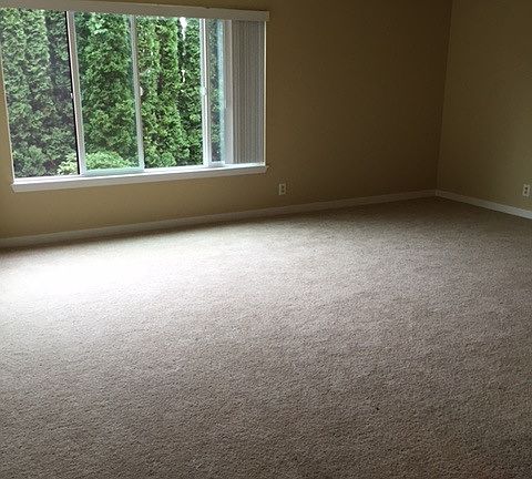 Spacious Living Room