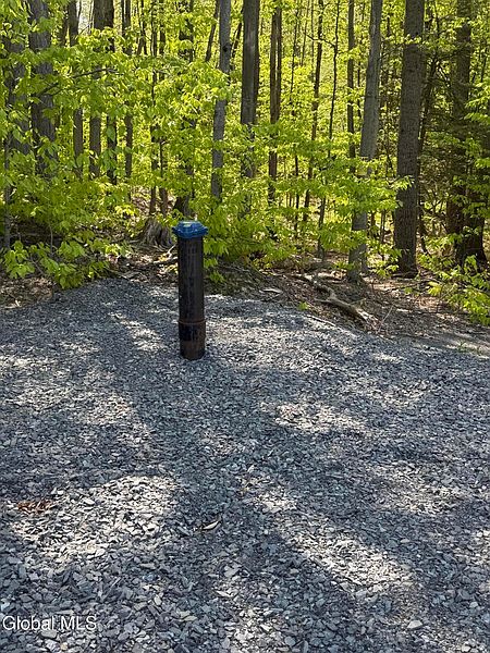 5th image of 2943 Skyline Drive