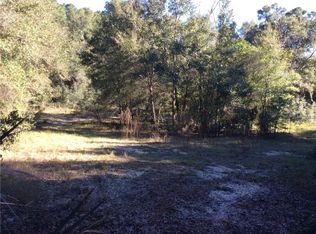 23640 Franklin Ave, Sorrento, FL 32776