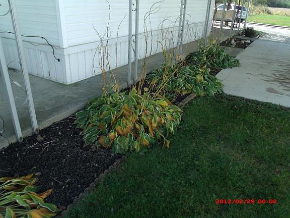 5th image of 5450 Carson City Ln