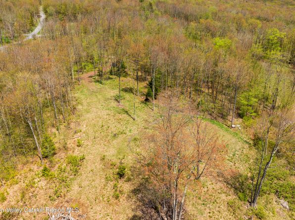 Tbd 1 Legg Road, Hunter, NY 12442