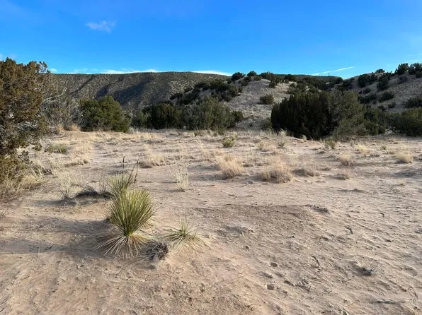 (undisclosed Address), Ojo Caliente, NM 87549