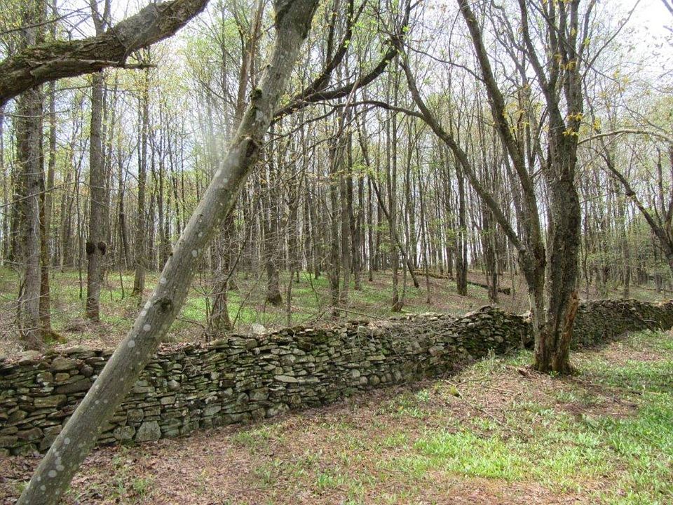 1st image of County Route 50