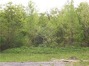 2nd image of 1716 Plank Rd