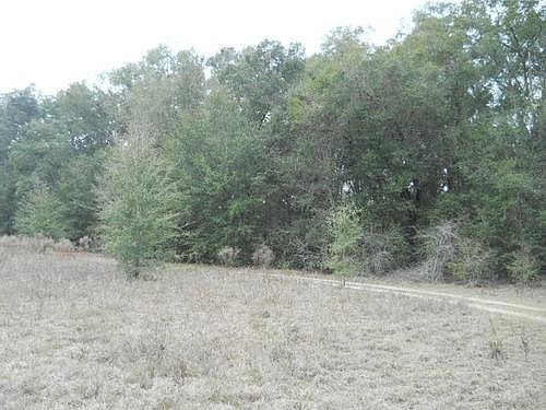 5th image of 6679 SE 55th St
