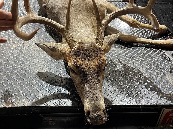 3rd image of 15100 County Road 129