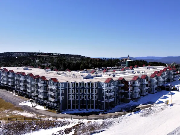 211 Mountain Ldg, Snowshoe, WV 26209