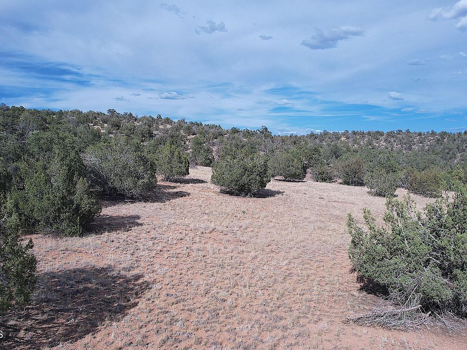 52471 N Camino Gato Seligman, AZ, 86337 Apartments for Rent Zillow