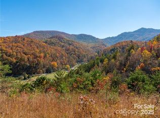 99999 Turkey Creek Rd #1 & 2, Leicester, NC 28748