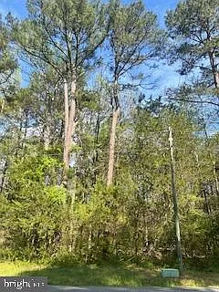186 Patrick Henry Dr photo 1
